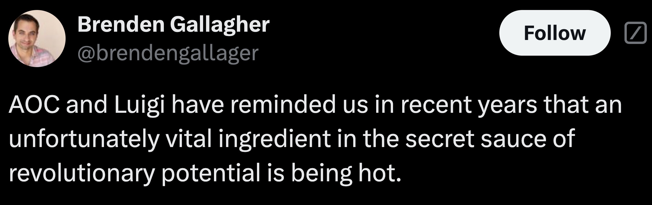 Brenden Gallagher Aoc and Luigi have reminded us in recent years that an unfortunately vital ingredient in the secret sauce of revolutionary potential is being hot.